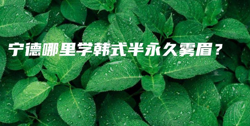 宁德哪里学韩式半永久雾眉？插图
