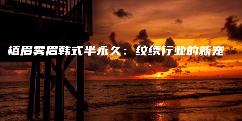 植眉雾眉韩式半永久：纹绣行业的新宠插图