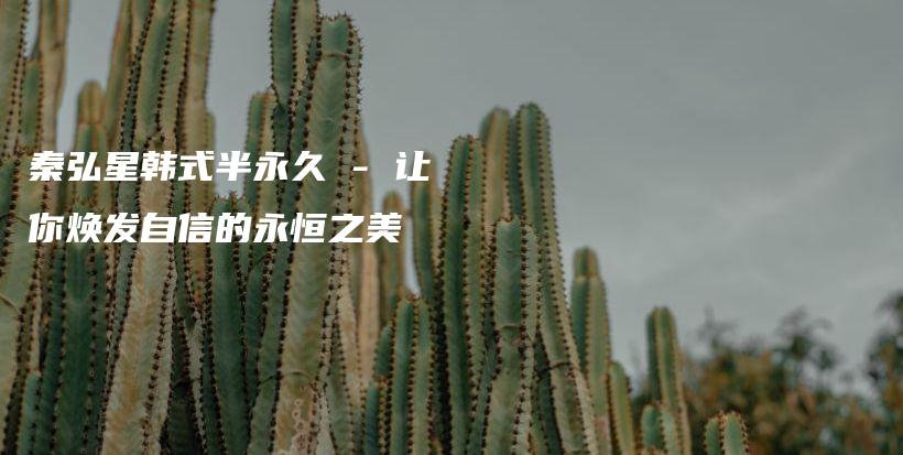 秦弘星韩式半永久 – 让你焕发自信的永恒之美插图
