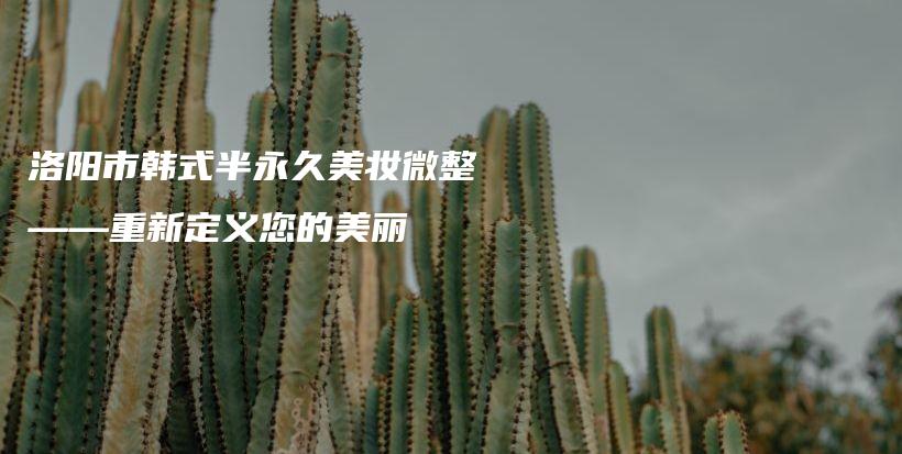 洛阳市韩式半永久美妆微整——重新定义您的美丽插图