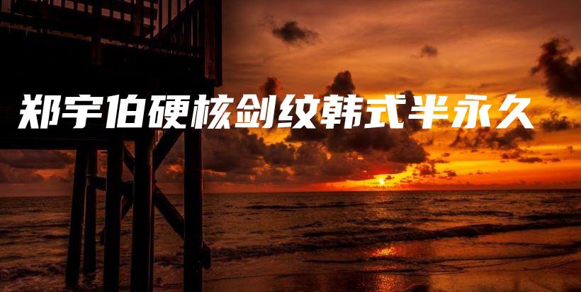 郑宇伯硬核剑纹韩式半永久插图