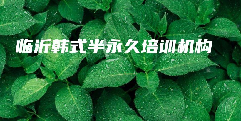 临沂韩式半永久培训机构插图