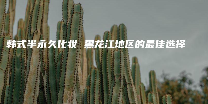韩式半永久化妆 黑龙江地区的最佳选择插图