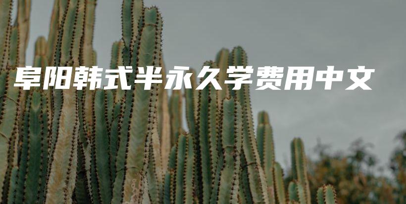 阜阳韩式半永久学费用中文插图
