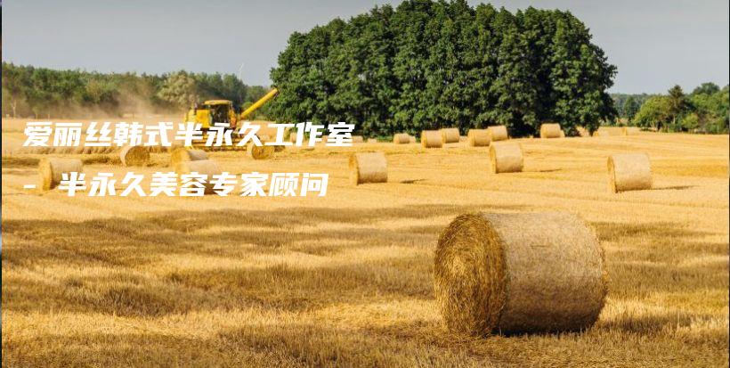 爱丽丝韩式半永久工作室 – 半永久美容专家顾问插图