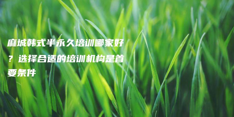 麻城韩式半永久培训哪家好？选择合适的培训机构是首要条件插图