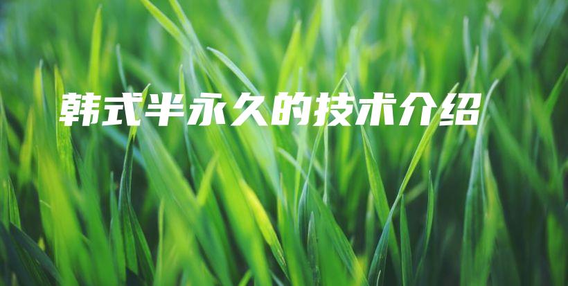 韩式半永久的技术介绍插图