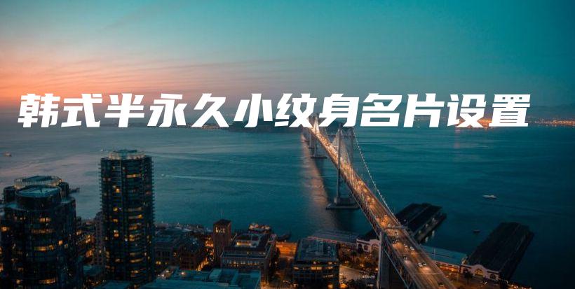 韩式半永久小纹身名片设置插图