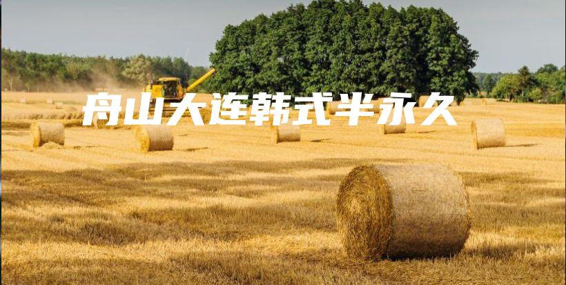 舟山大连韩式半永久插图