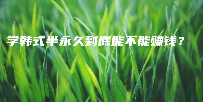 学韩式半永久到底能不能赚钱？插图