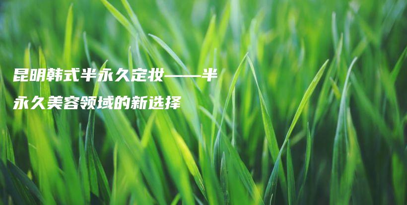 昆明韩式半永久定妆——半永久美容领域的新选择插图