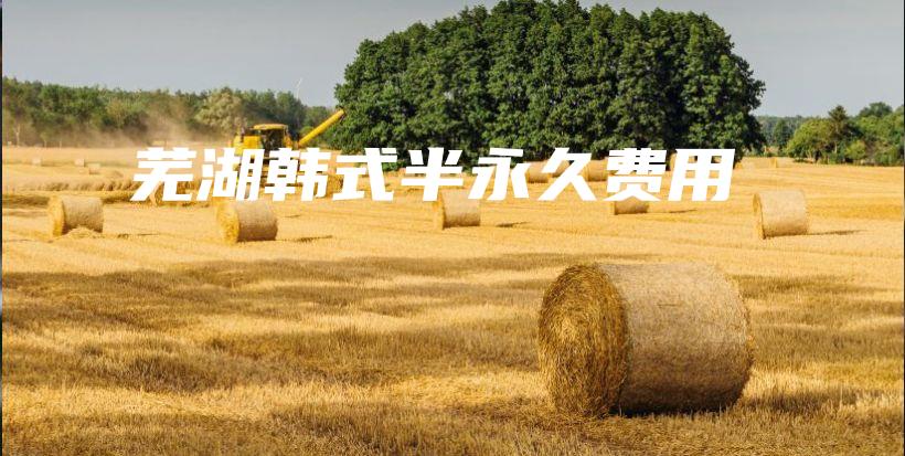 芜湖韩式半永久费用插图