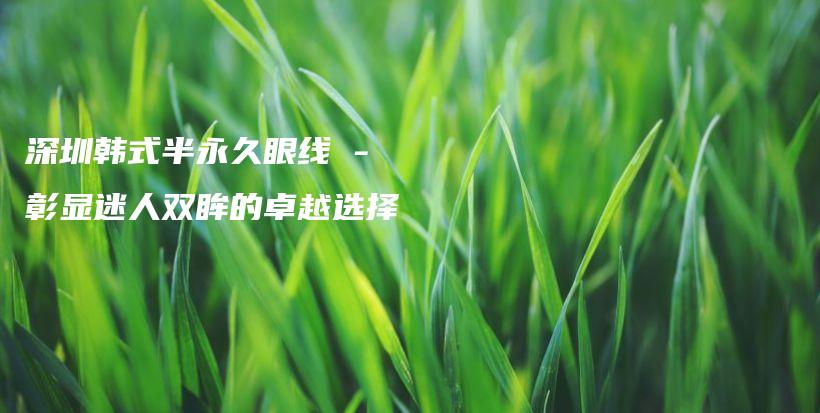 深圳韩式半永久眼线 – 彰显迷人双眸的卓越选择插图