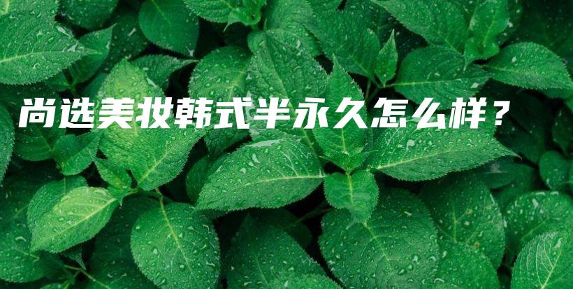 尚选美妆韩式半永久怎么样？插图