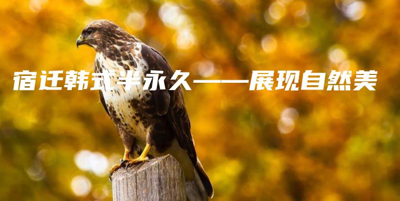 宿迁韩式半永久——展现自然美插图