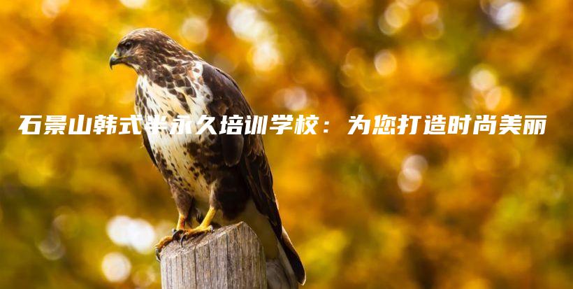 石景山韩式半永久培训学校：为您打造时尚美丽插图