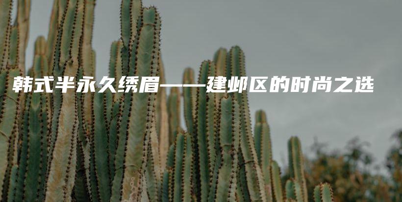 韩式半永久绣眉——建邺区的时尚之选插图