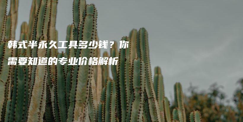 韩式半永久工具多少钱？你需要知道的专业价格解析插图