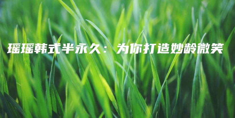 瑶瑶韩式半永久：为你打造妙龄微笑插图