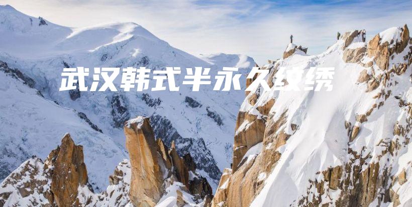 武汉韩式半永久纹绣插图