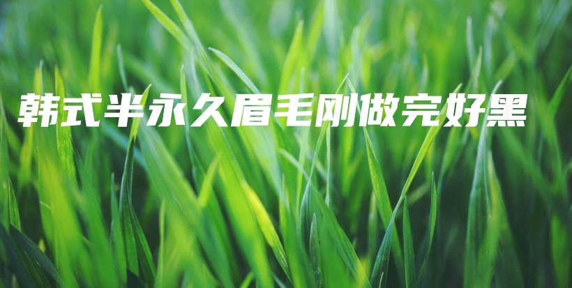 韩式半永久眉毛刚做完好黑插图
