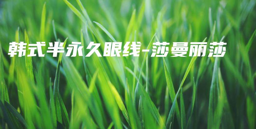 韩式半永久眼线-莎曼丽莎插图