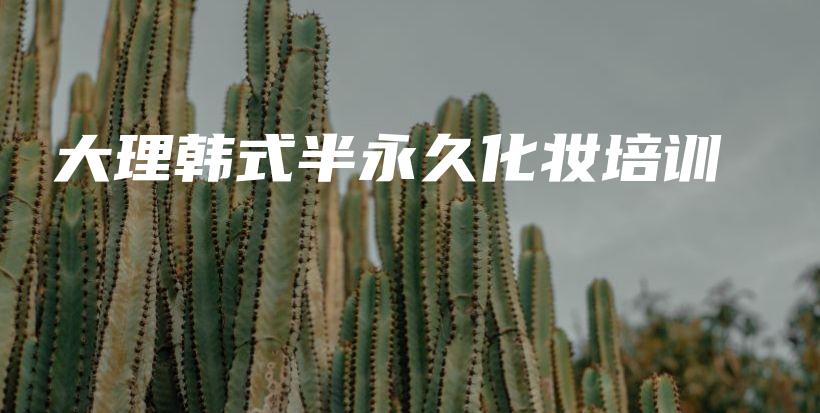 大理韩式半永久化妆培训插图