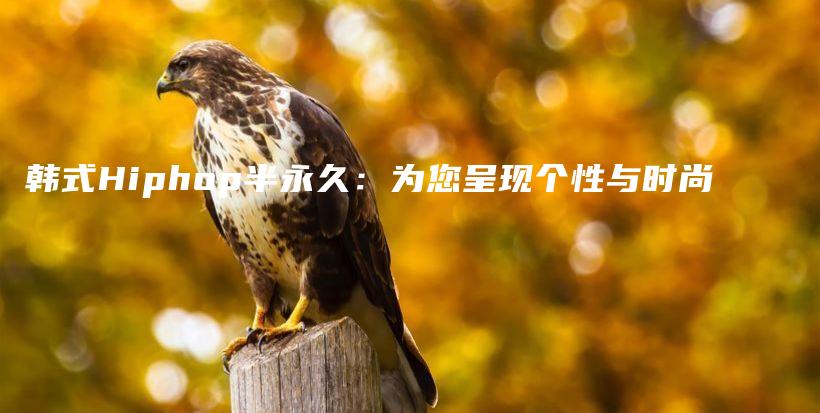 韩式Hiphop半永久：为您呈现个性与时尚插图