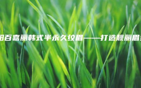 沈阳百嘉丽韩式半永久纹眉——打造靓丽眉型