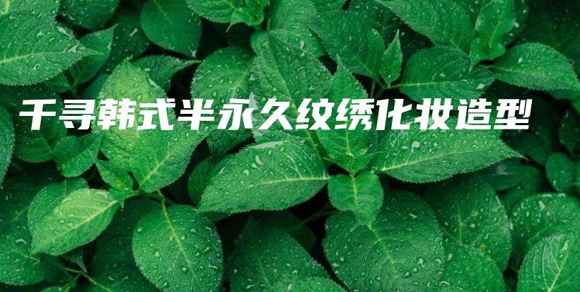 千寻韩式半永久纹绣化妆造型插图