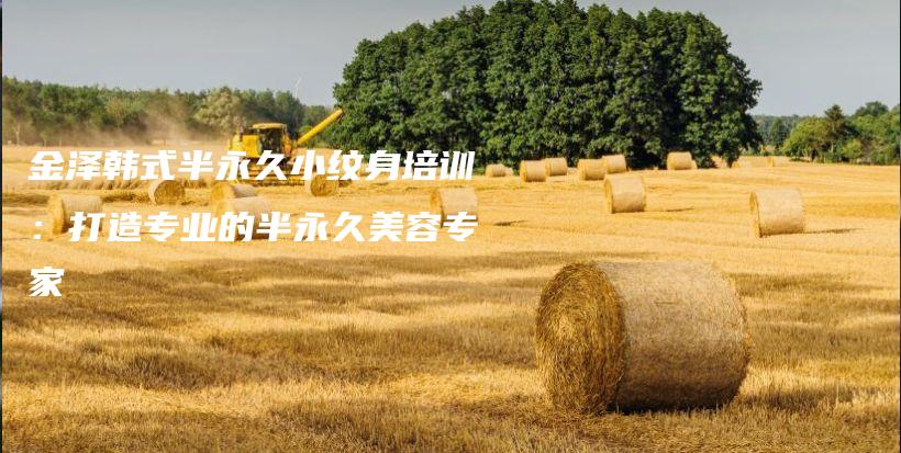 金泽韩式半永久小纹身培训：打造专业的半永久美容专家插图