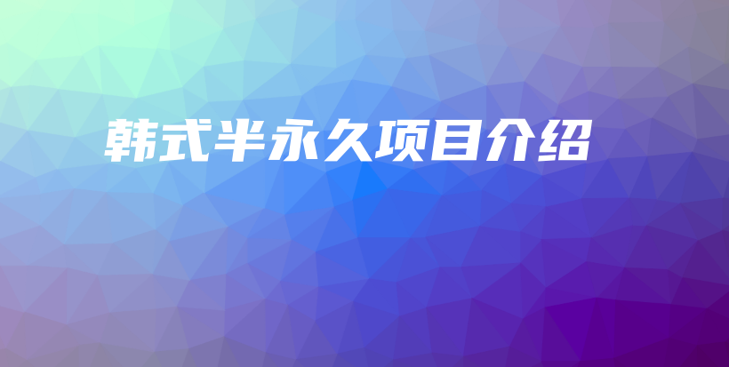 韩式半永久项目介绍插图