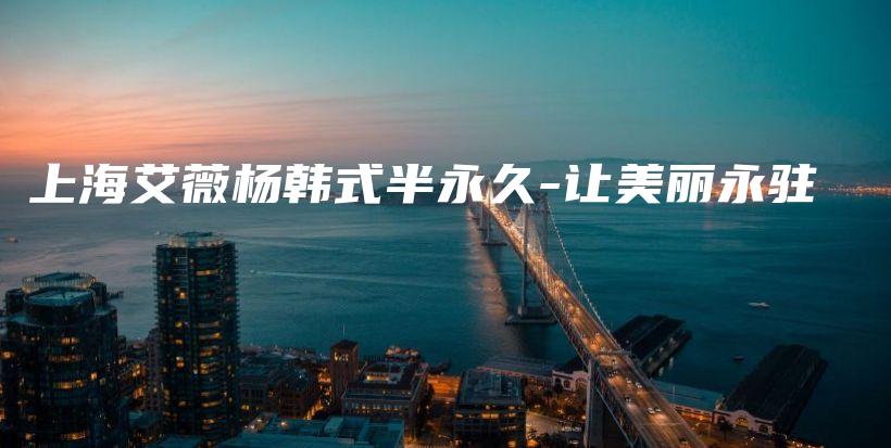 上海艾薇杨韩式半永久-让美丽永驻插图
