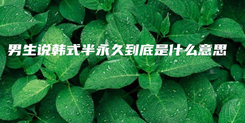 男生说韩式半永久到底是什么意思插图