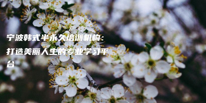 宁波韩式半永久培训机构：打造美丽人生的专业学习平台插图