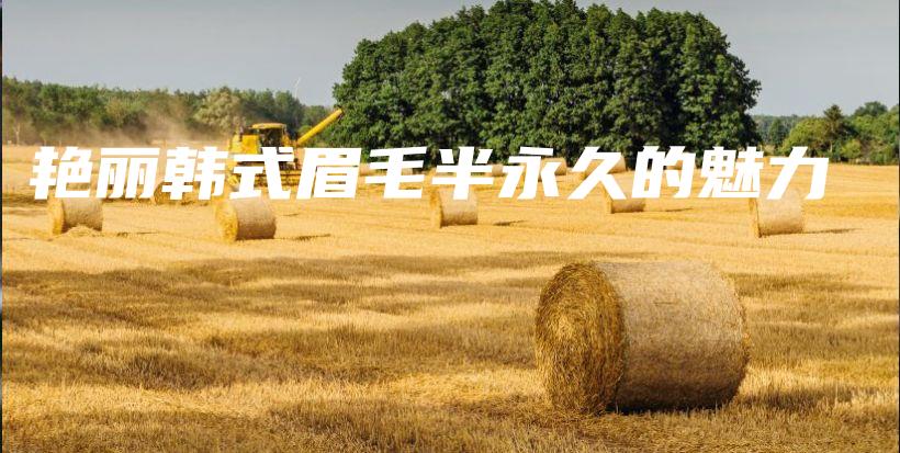 艳丽韩式眉毛半永久的魅力插图