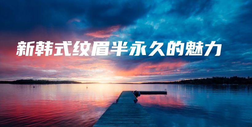 新韩式纹眉半永久的魅力插图