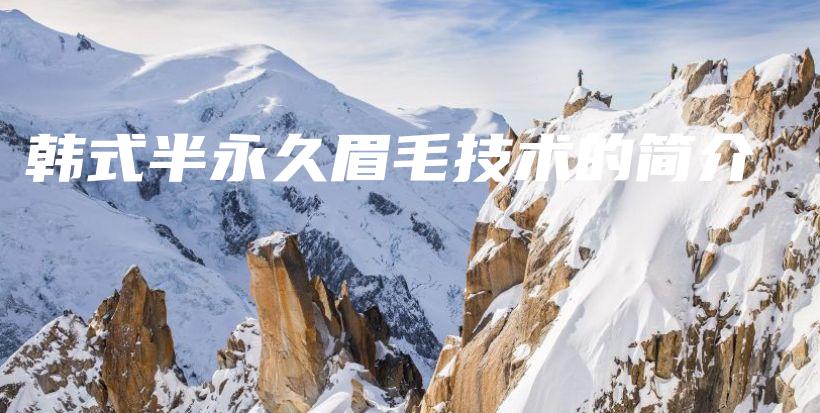 韩式半永久眉毛技术的简介插图