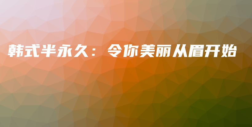 韩式半永久：令你美丽从眉开始插图