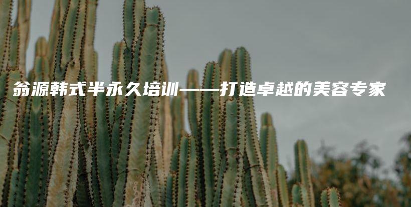 翁源韩式半永久培训——打造卓越的美容专家插图