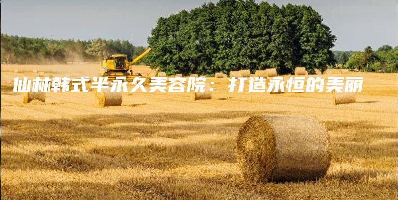 仙林韩式半永久美容院：打造永恒的美丽插图