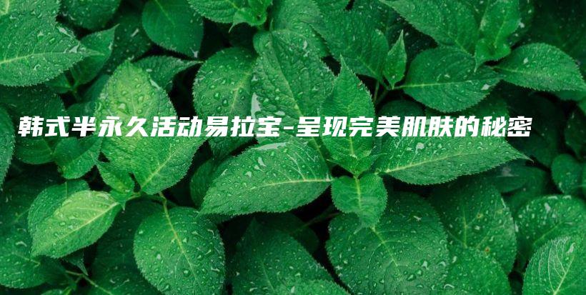 韩式半永久活动易拉宝-呈现完美肌肤的秘密插图