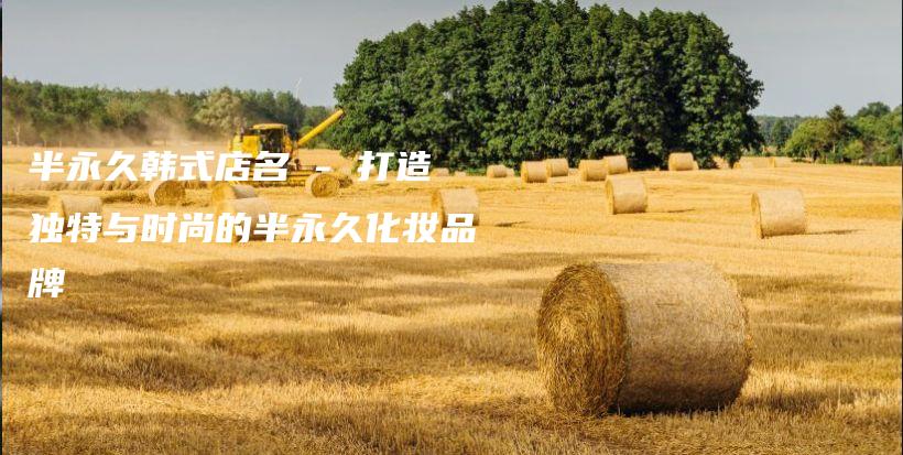 半永久韩式店名 – 打造独特与时尚的半永久化妆品牌插图