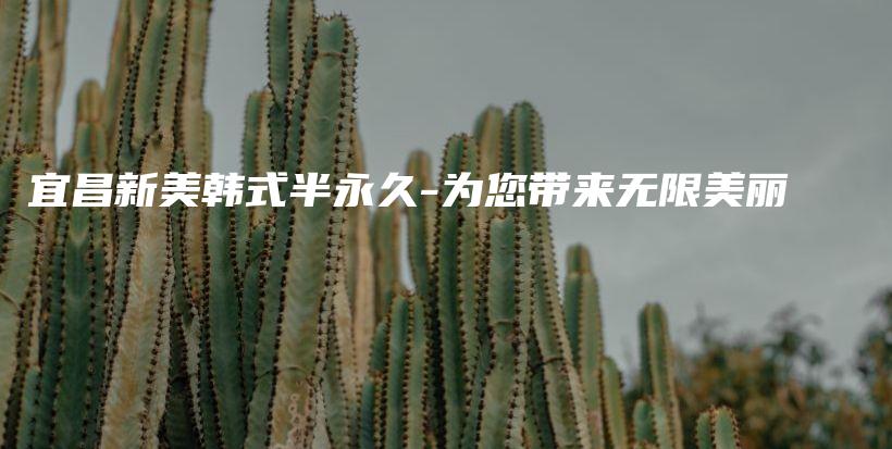 宜昌新美韩式半永久-为您带来无限美丽插图