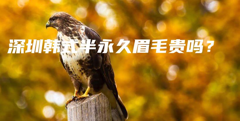 深圳韩式半永久眉毛贵吗？插图