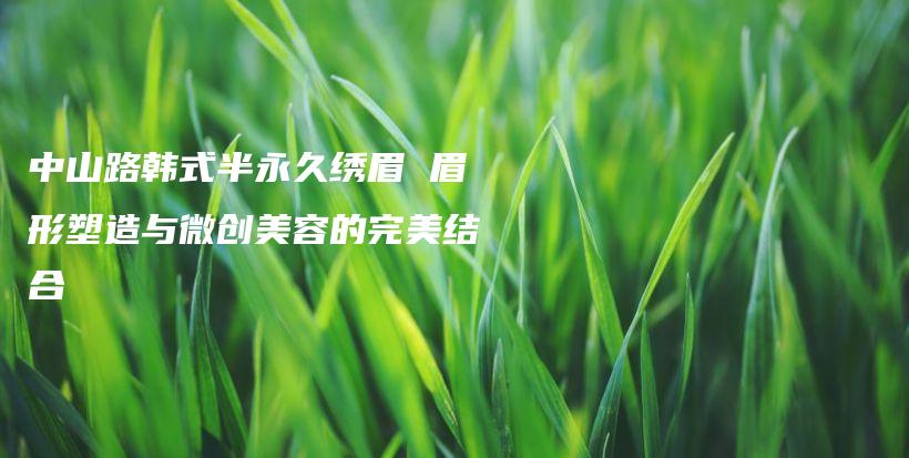 中山路韩式半永久绣眉 眉形塑造与微创美容的完美结合插图