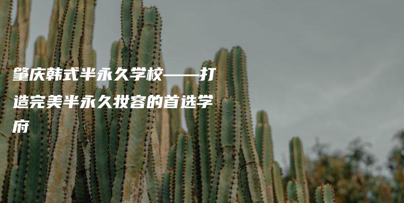 肇庆韩式半永久学校——打造完美半永久妆容的首选学府插图