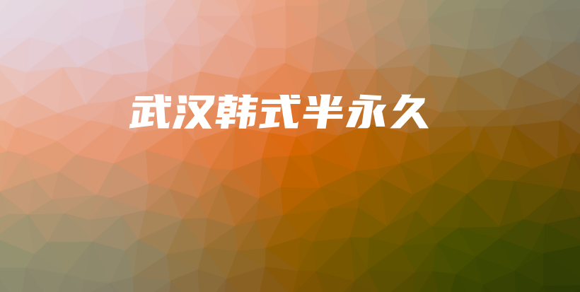 武汉韩式半永久插图