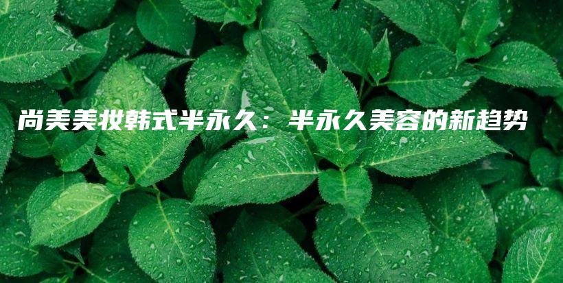 尚美美妆韩式半永久：半永久美容的新趋势插图
