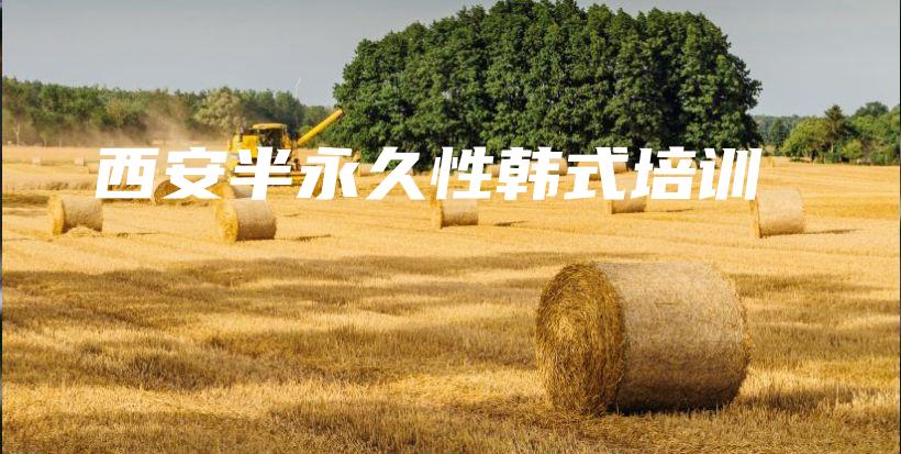 西安半永久性韩式培训插图